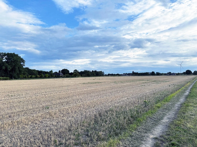 Bild6