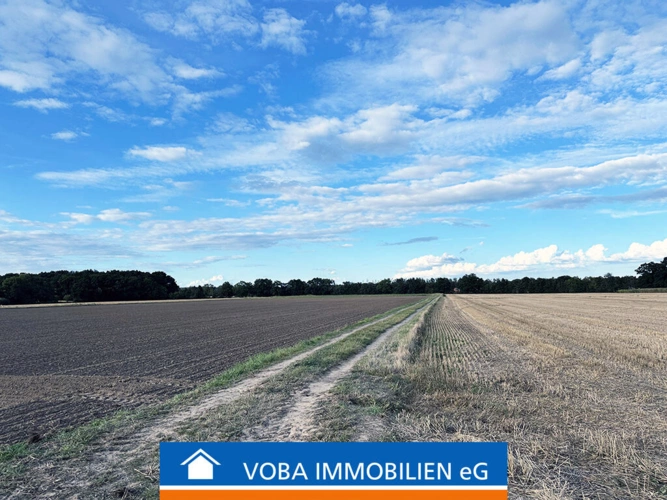 Bild1