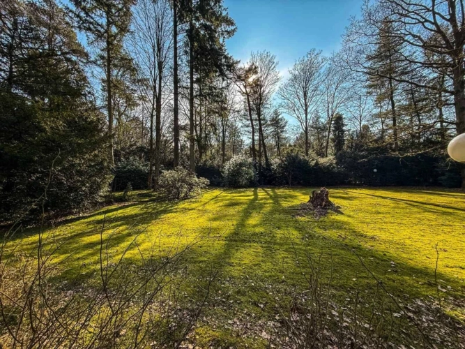 Gartenblick