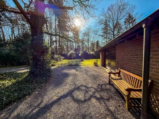 Einfahrt / Gartenblick