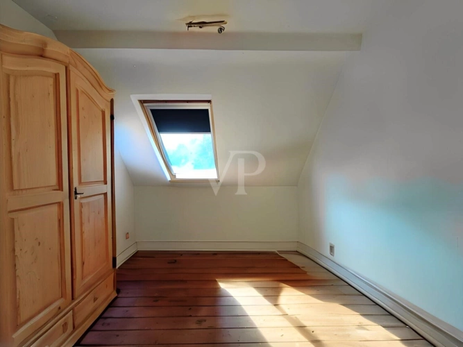 Blick in den Garten