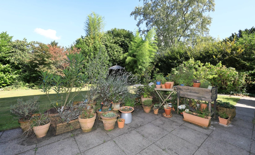 Terrasse-Blick in den Garten