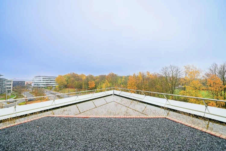 Terrasse mit Dachteich