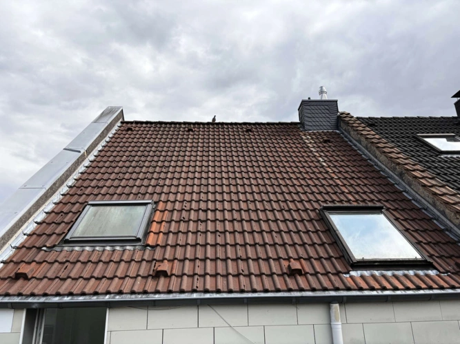 Ansicht Dach Rückseite