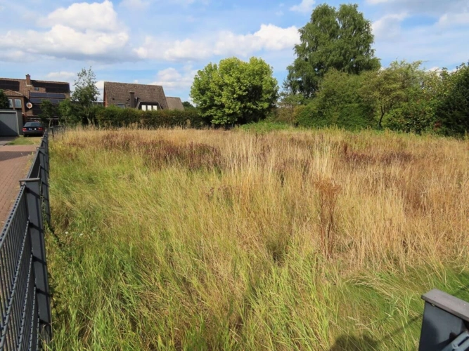Einstellbild