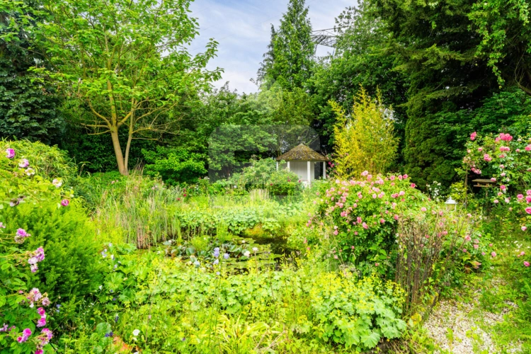 Gartenbild 2