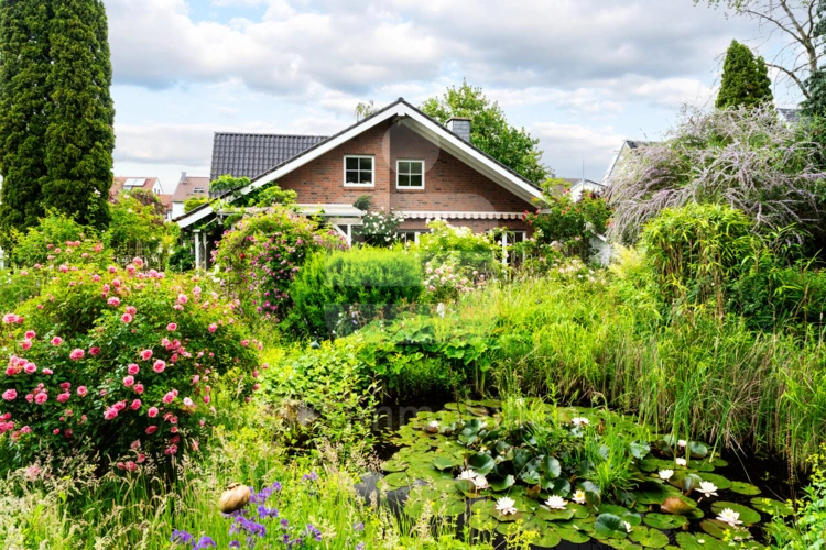 Gartenbild 3