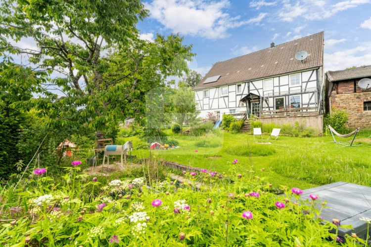 Garten (6)