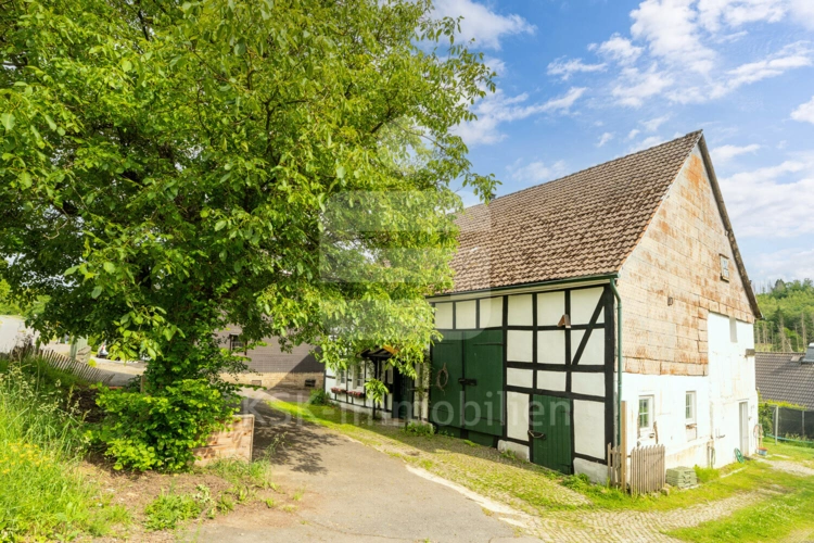 Außenaufnahmen (15)