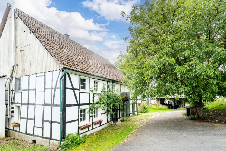 Außenaufnahmen (4)