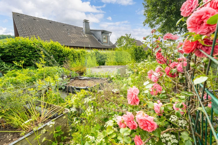 Garten (1)