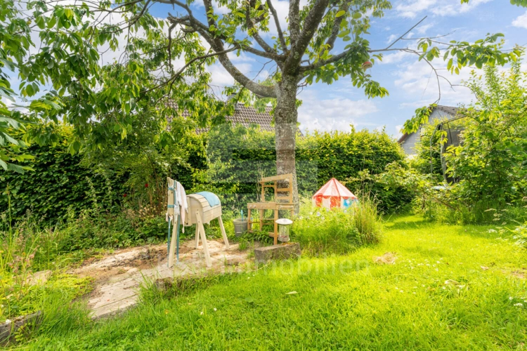 Garten (12)