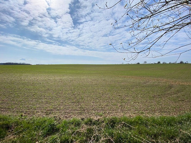 Unverbaubarer Feldblick im Süden