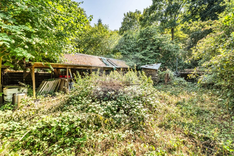 Garten Bild 3
