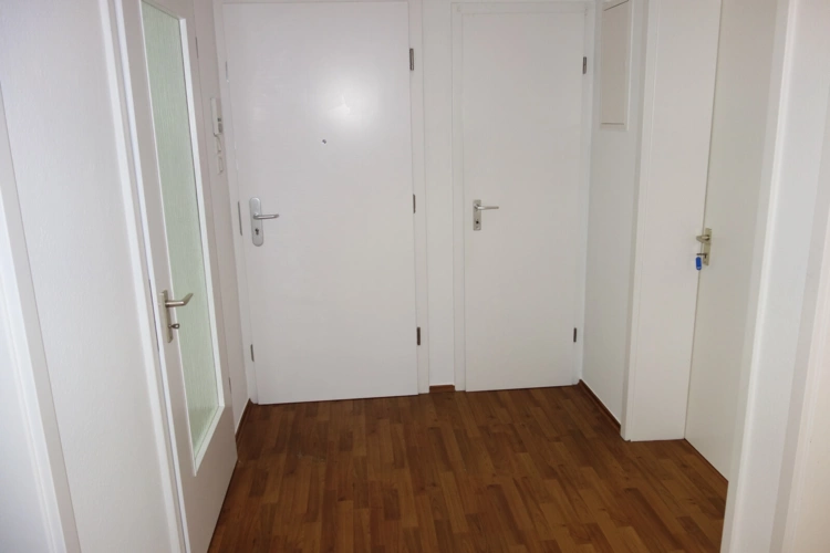 Diele inkl. Abstellkammern