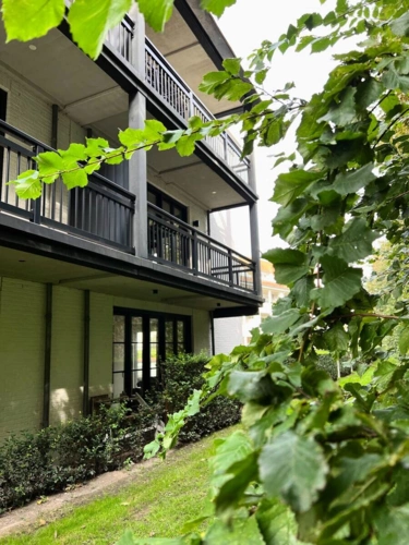 Albret Balkon