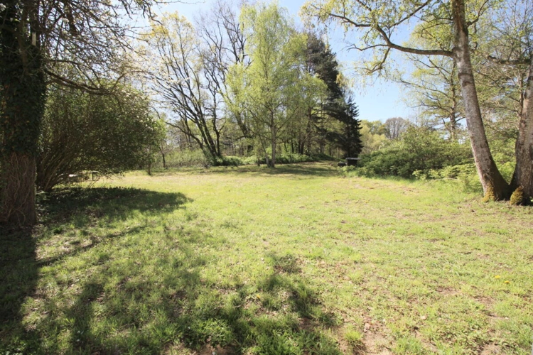 Herrlicher Gartenblick auf Baumbestand u. nahem Teich