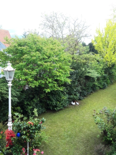 Garten-ebenso