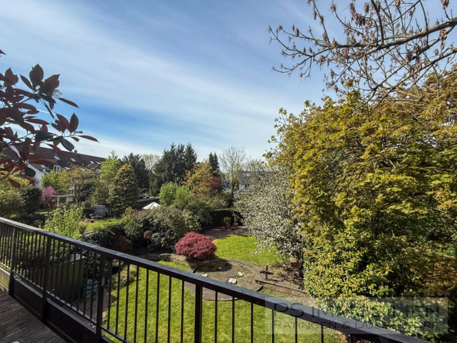 Blick in den Garten