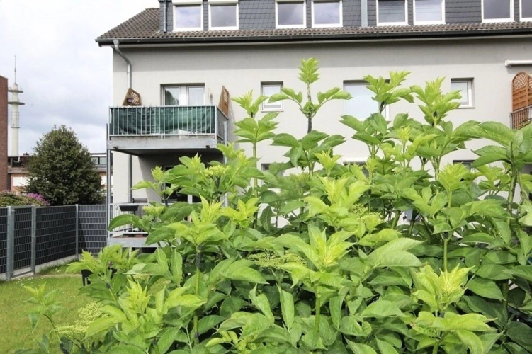 Gartenansicht