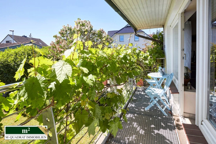 Sonnen-Balkon vorm Küchenfenster, mit Weinreben