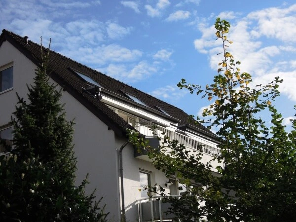 Ansicht von West