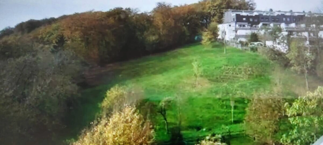 Blick ins Grüne