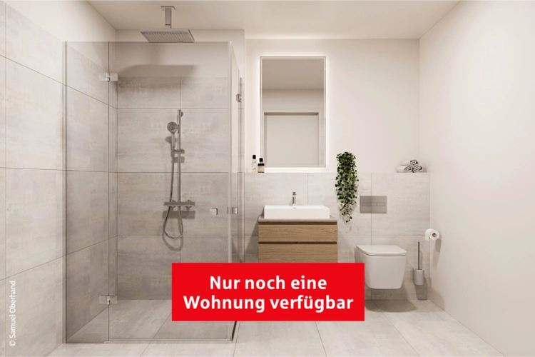 Innenvisualisierungen