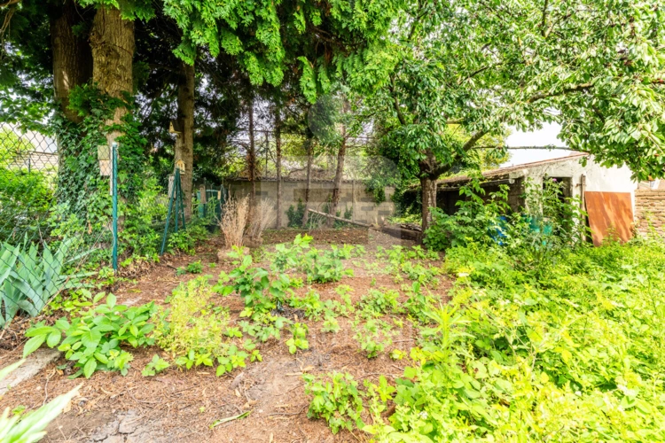 Garten (2)
