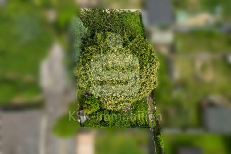 Garten (1)