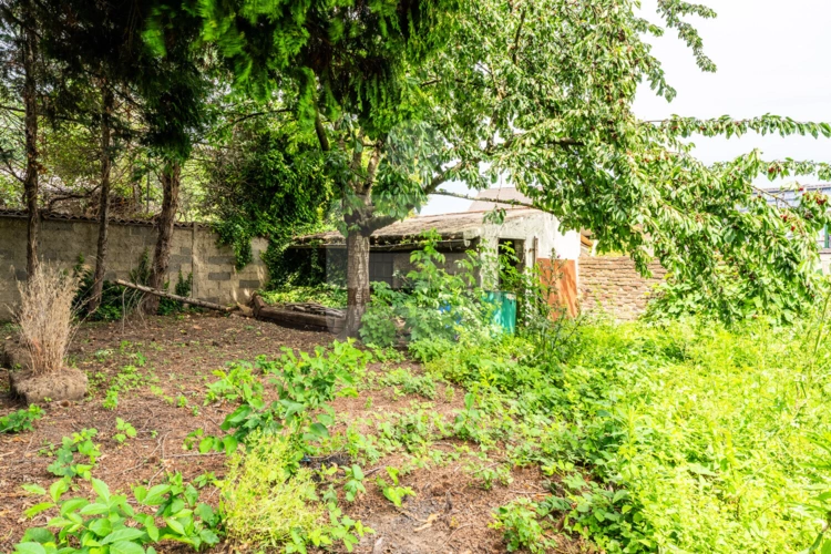 Weg zum Garten