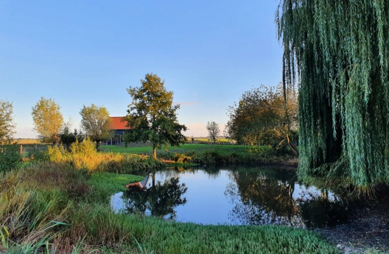 Teich / Ferienhaus