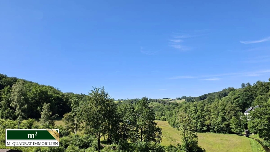 Umfeld