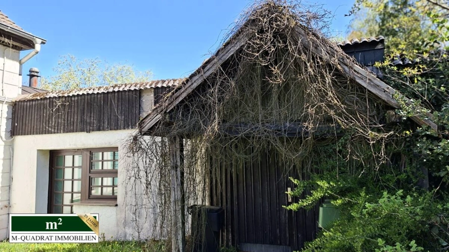 Anbau