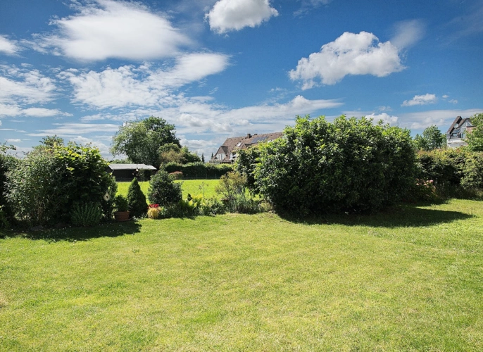 Blick in Garten und Natur