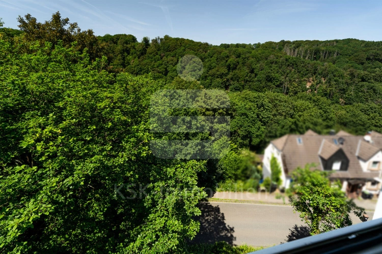 Ausblick