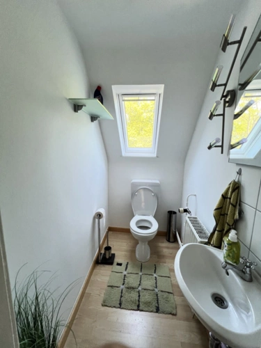 WC DG