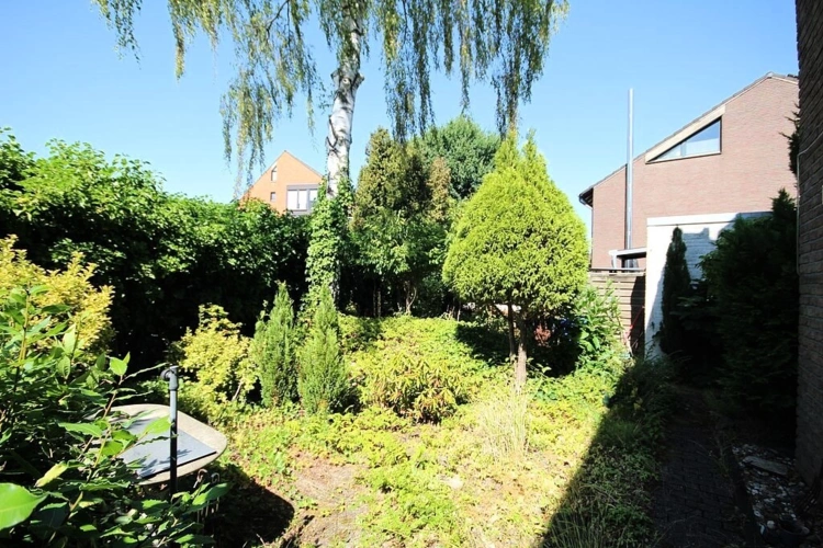 Garten seitlich am Haus