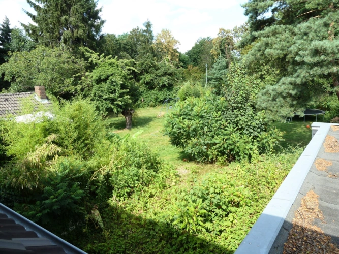 Gartenansicht vom 1. OG