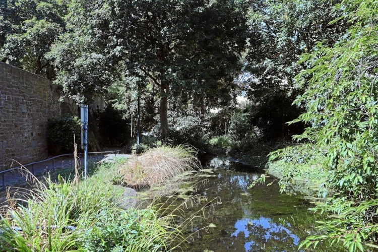 Ihre neue Aussicht