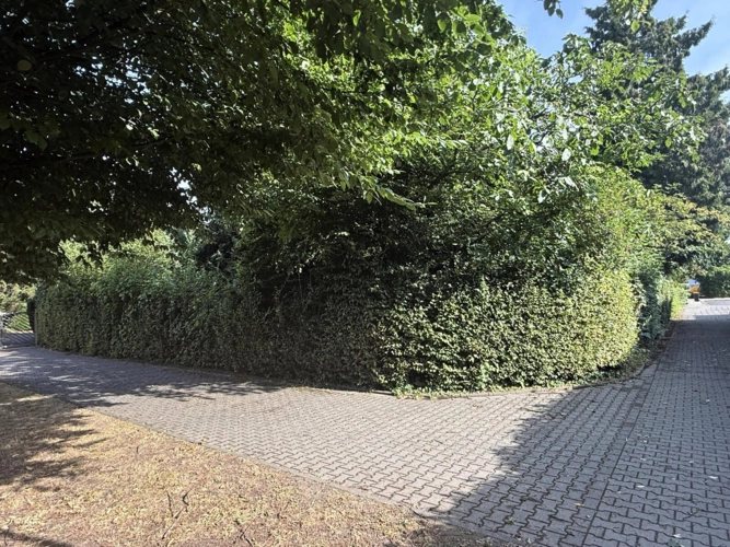 Ansicht