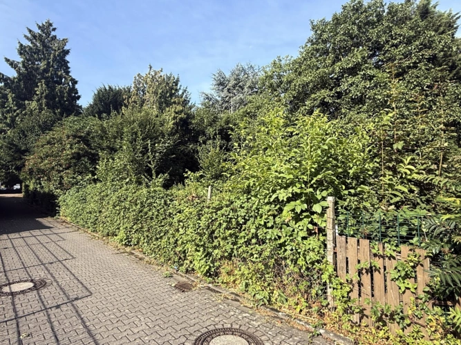 Ansicht