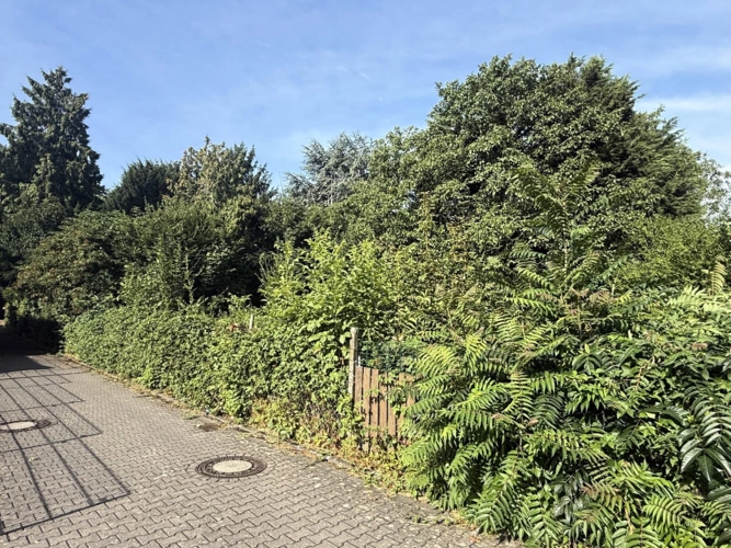 Ansicht