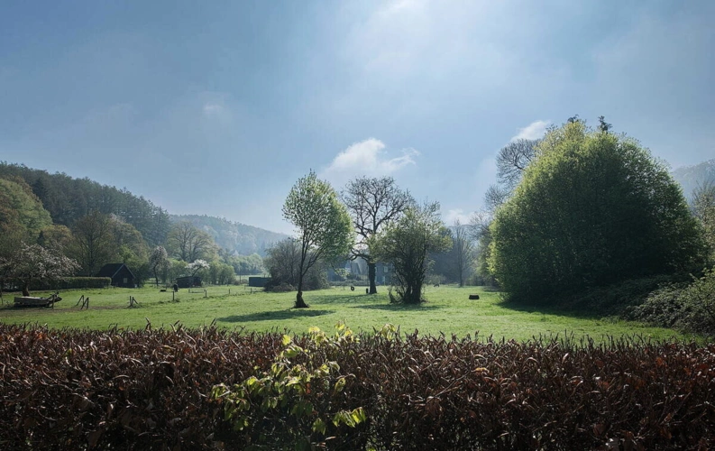 Blick ins Grüne