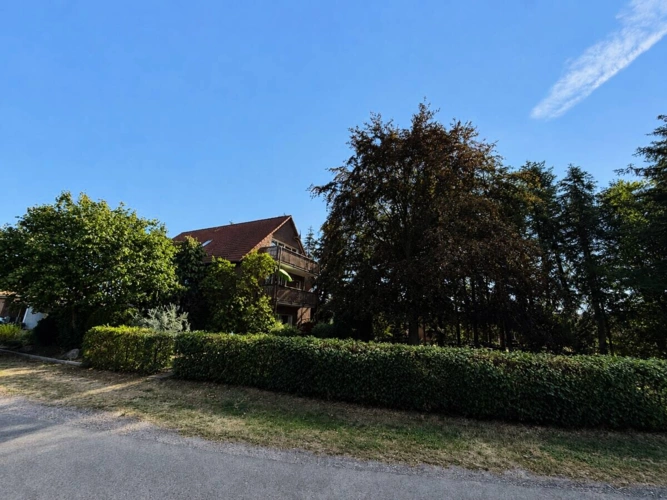 Ansicht Haus / Garten