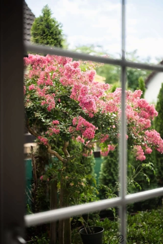 Blick aus dem Wohnzimmer