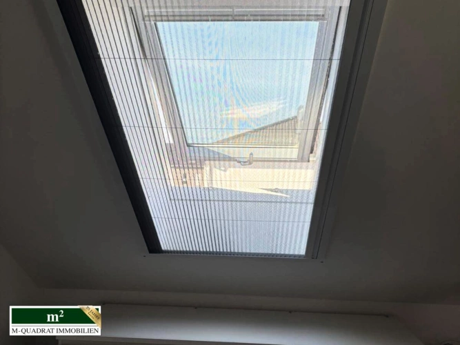 Dachfenster mit Moskitoschutz