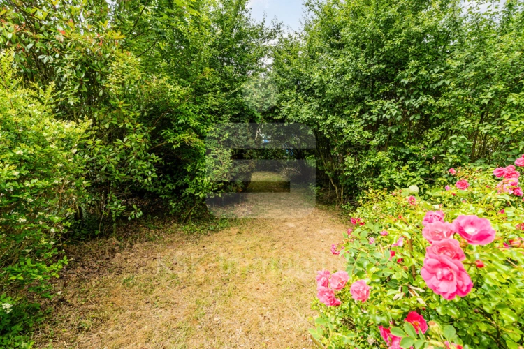 Garten (3)