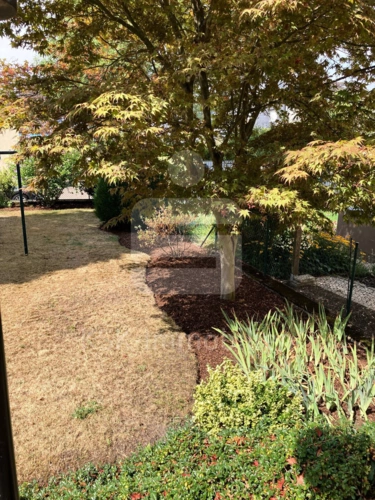 Garten, Ansicht 2