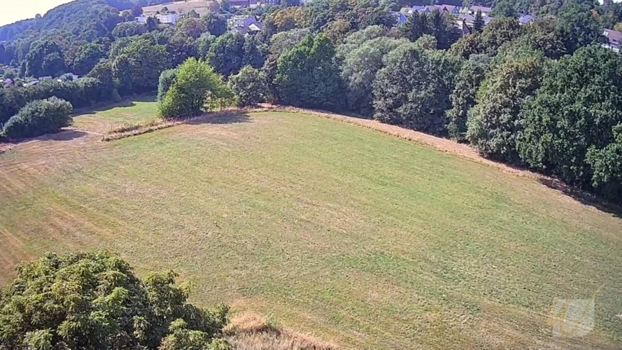 Wiesengrundstück021(1)